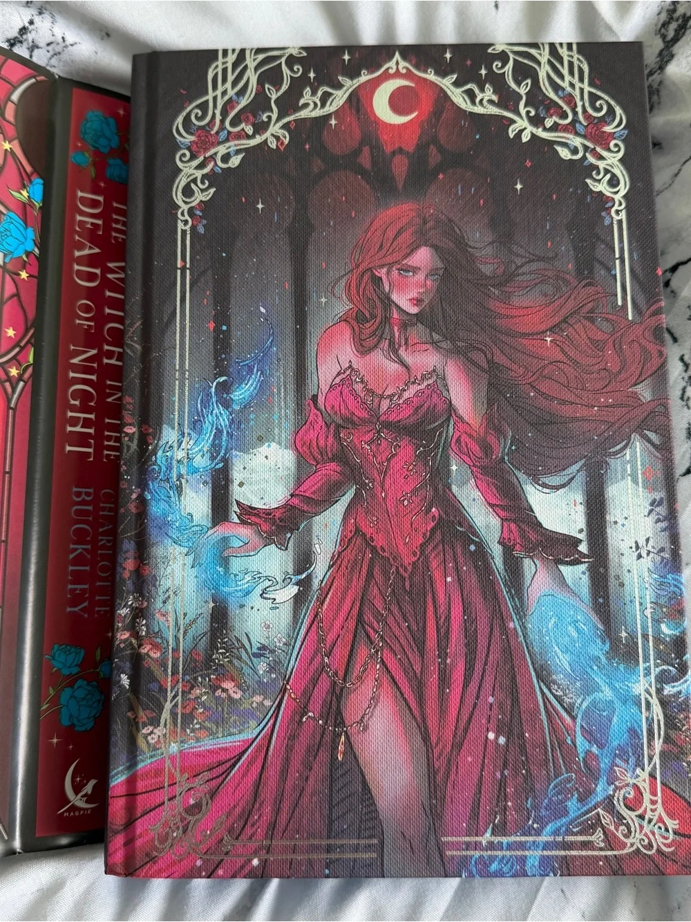 Fairyloot | NWT The Witch in the Dead of Night Book